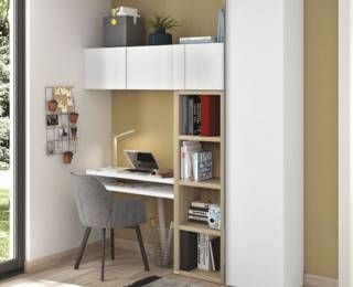 Edito Bridge carver chair with charcoal wood legs