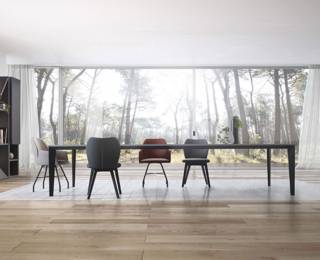 Edito Bridge carver chair with metal legs